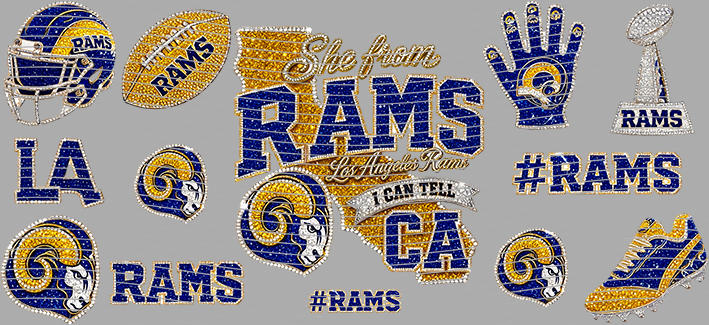 16oz team-NFL 3547